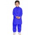 Elegant Boys Pathani-Suit-Royal Blue colored
